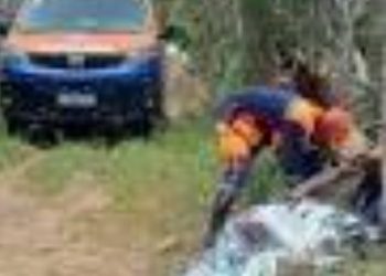 Três jovens são executados a tiros e facadas em menos de 6h na zona rural de Riachão do Jacuípe; polícia investiga casos