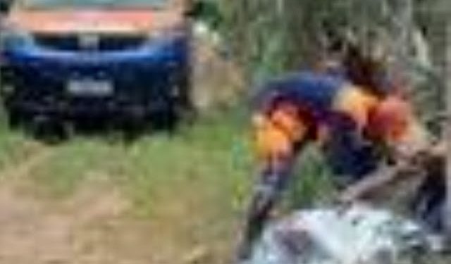 Três jovens são executados a tiros e facadas em menos de 6h na zona rural de Riachão do Jacuípe; polícia investiga casos