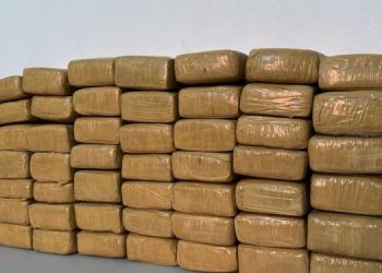 São Pedro da Água Branca/MA – Polícia Militar apreende mais de 60 tabletes de maconha