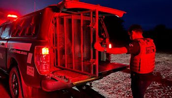 MÃE ABANDONA FILHO RECÉM-NASCIDO É PRESA APÓS PROCURAR ATENDIMENTO EM HOSPITAL NO MARANHÃO