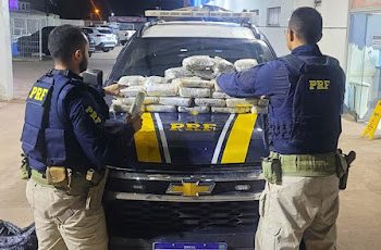 PRF APREENDE 41 KG DE MACONHA NA BR-135 EM MIRANDA DO NORTE.