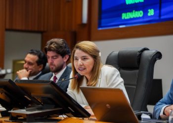 IRACEMA VALE REFORÇA AVANÇO DAS PAUTAS NO LEGISLATIVO E PERSPECTIVAS DE EXPRESSIVO VOLUME DE PROPOSIÇÕES NO RETORNO DAS ATIVIDADES.