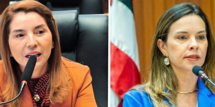 Assembleia Legislativa e Procuradoria da Mulher se manifestam sobre denúncia de vereadora contra vice-prefeito de Afonso Cunha