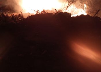 Segundo Incêndio Criminoso Aterroriza Moradores do Bairro Trizidela