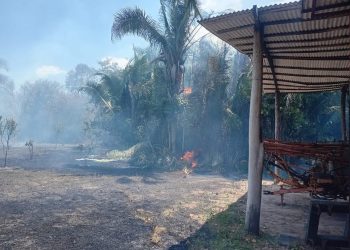 Alô! Ministério Público/ Fazendeiro denuncia queimadas criminosas em sua propriedade, a anos de destruição sem resposta das autoridades