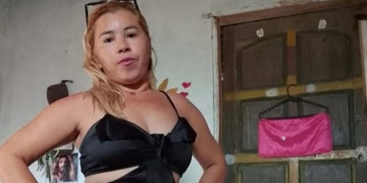 Mulher que se envolveu em acidente com vaca e caminhão na MA-225 morre após não resistir aos ferimentos