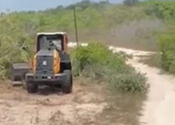 Prefeitura de Primeira Cruz intensifica recuperação de estradas vicinais