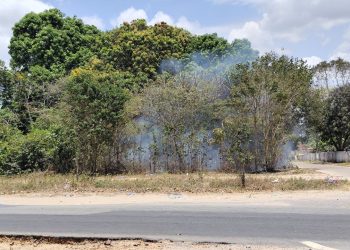 Incêndio em terreno baldio na Avenida Brasil é rapidamente controlado pelo Corpo de Bombeiros