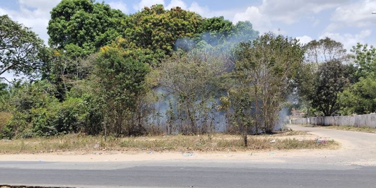 Incêndio em terreno baldio na Avenida Brasil é rapidamente controlado pelo Corpo de Bombeiros