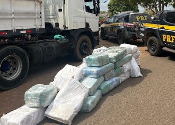 Operação policial apreende quase 1 tonelada de super maconha no interior do Maranhão