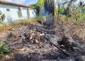 Incêndio atinge área atrás da Prefeitura de São Benedito do Rio Preto e autoridades investigam possível crime