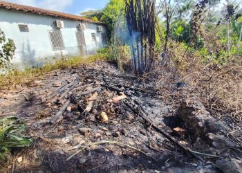 Incêndio atinge área atrás da Prefeitura de São Benedito do Rio Preto e autoridades investigam possível crime