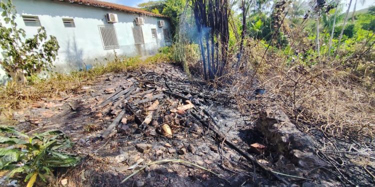 Incêndio atinge área atrás da Prefeitura de São Benedito do Rio Preto e autoridades investigam possível crime