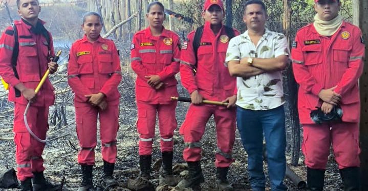Bombeiros Civis Combatem Incêndio e Resgatam Animais no Campinho em São Benedito do Rio Preto (MA)