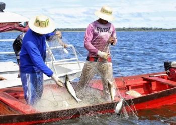 Pescadores têm até 31 de dezembro para comprovar atividade e garantir seguro-defeso