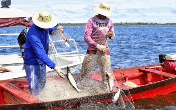 Pescadores têm até 31 de dezembro para comprovar atividade e garantir seguro-defeso